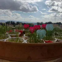 مژده به مادران شاغل