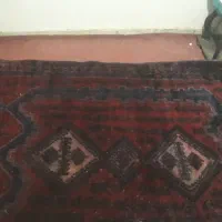 فرش دست باف|فرش|رفسنجان, |دیوار