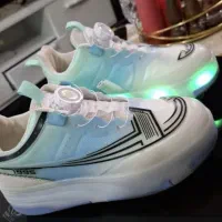 کفش اسکیت دار، وارداتی