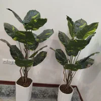 گل پرنده بهشتی|گل مصنوعی|دورود, |دیوار