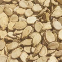 تخمه هندوانه|خوردنی و آشامیدنی|یزد, |دیوار