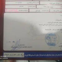 سمند LX ساده، مدل ۱۳۸۷|خودرو سواری و وانت|تاکستان, |دیوار