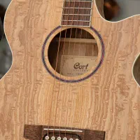 گیتار اکوستیک