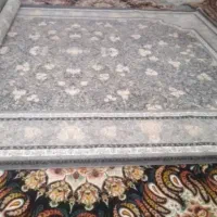 فرش|فرش|طبس, |دیوار