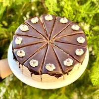 انواع کیک و جار کیک|خوردنی و آشامیدنی|بم, |دیوار