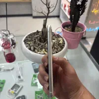 آیفون ۱۱ نرمال ۱۲۸ zaa|موبایل|کرج, اصفهانی‌ها|دیوار