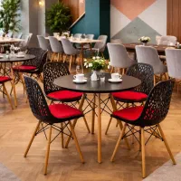 صندلی پلاستیکی باغی رزگلد|میز و صندلی غذاخوری|تهران, سلسبیل شمالی|دیوار