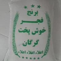 برنج فجر