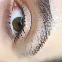 لیفت مژه لیفت ابرو|خدمات آرایشگری و زیبایی|سنندج, |دیوار