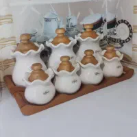 پا سماوری سالم نوو