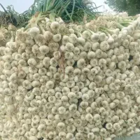 سیر شاه آباد