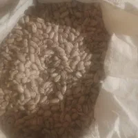 فروش|حراج|بلبان آباد, |دیوار