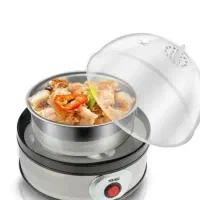 تخم مرغ پز DSP