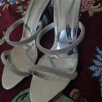 دمپای مجلسی