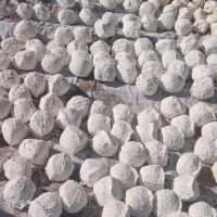 کشک|خوردنی و آشامیدنی|پاتاوه, |دیوار