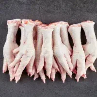 فروش مرغ،آلایش و ضایعات