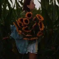 ادمین و تولید محتوا حرفهای  و عکاسی فیلمبرداری