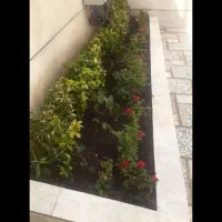 باغبانی و سمپاشی زدن علف های هرز گل درختکاری|خدمات باغبانی و درختکاری|مشهد, هنرستان|دیوار