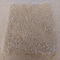 یک جفت پادری سالم