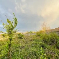فروش-زمین