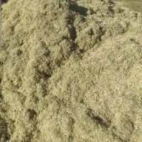 کاه گندم درجه یک|حراج|رشت, سعدی (تختی)|دیوار