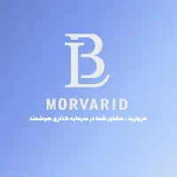 فرصت مشارکت در ساخت ویژه سازندگان حرفه‌ای