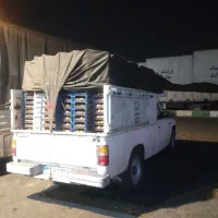 نیسان دوگانه مدل ۸۴ آس|خودرو سواری و وانت|کردکوی, |دیوار