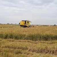 کمباین نیوهلند