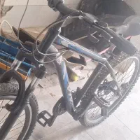 دوچرخه ویوا