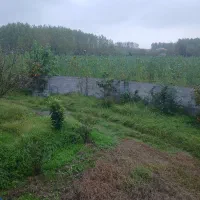 انتقال-اسناد-شالکوبی-مدرن-در-گیلان-روستای-میانده