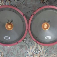 میدرنج دهنه 8 سالم