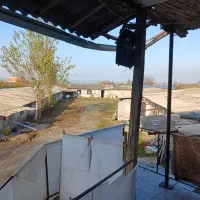 یک خانواده جهت اداره مرغداری ۱۵هزاری