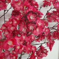 درخچه شکوفه|گل و گیاه طبیعی|کهریزک, |دیوار