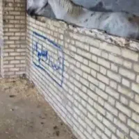 اسب نریون زیبایی یکسر