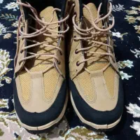 پوتین جاکسون نو