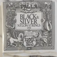 گیتار C40 به همراه کیف و پایه و سیم اضافه|گیتار، بیس، امپلیفایر|آران و بیدگل, |دیوار