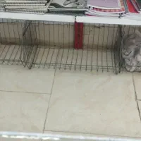 سبد فروشگاهی مغازه