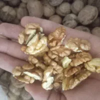 گردو درجه 1 امسالی خشک