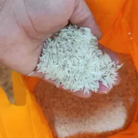 برنج فجر گرگان خالص هر کیسه 2500000