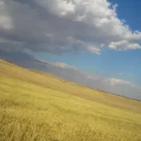 اجاره ۳ هکتار