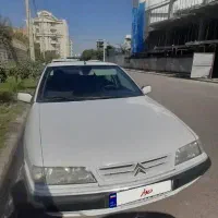 زانتیا بی رنگ عروسک