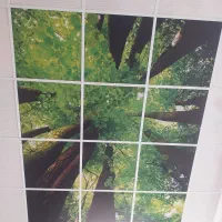 پی وی سی پلکسی کناف|خدمات پیشه و مهارت|مریوان, |دیوار