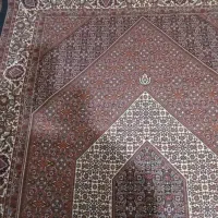 دو عدد فرش شش متری|فرش|زنجان, |دیوار