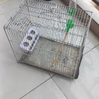 قفس غلامی سهره