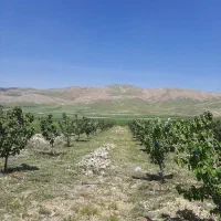 فروش فوری باغ به دربهترین جای کاکان