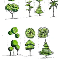 انجام پروژه های دانشجویی و اجرایی معماری|خدمات آموزشی|رشت, دیلمان|دیوار