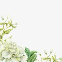 کمک و راهنمایی به زوجین محترم