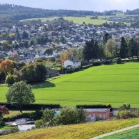 کیوی سر بار سفت