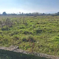 فروش زمین ۲۵۰ متری در ماسال