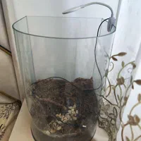 آکواریوم